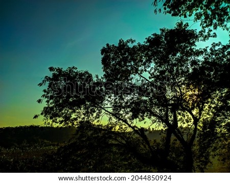 Detail Background Ilalang Nomer 39