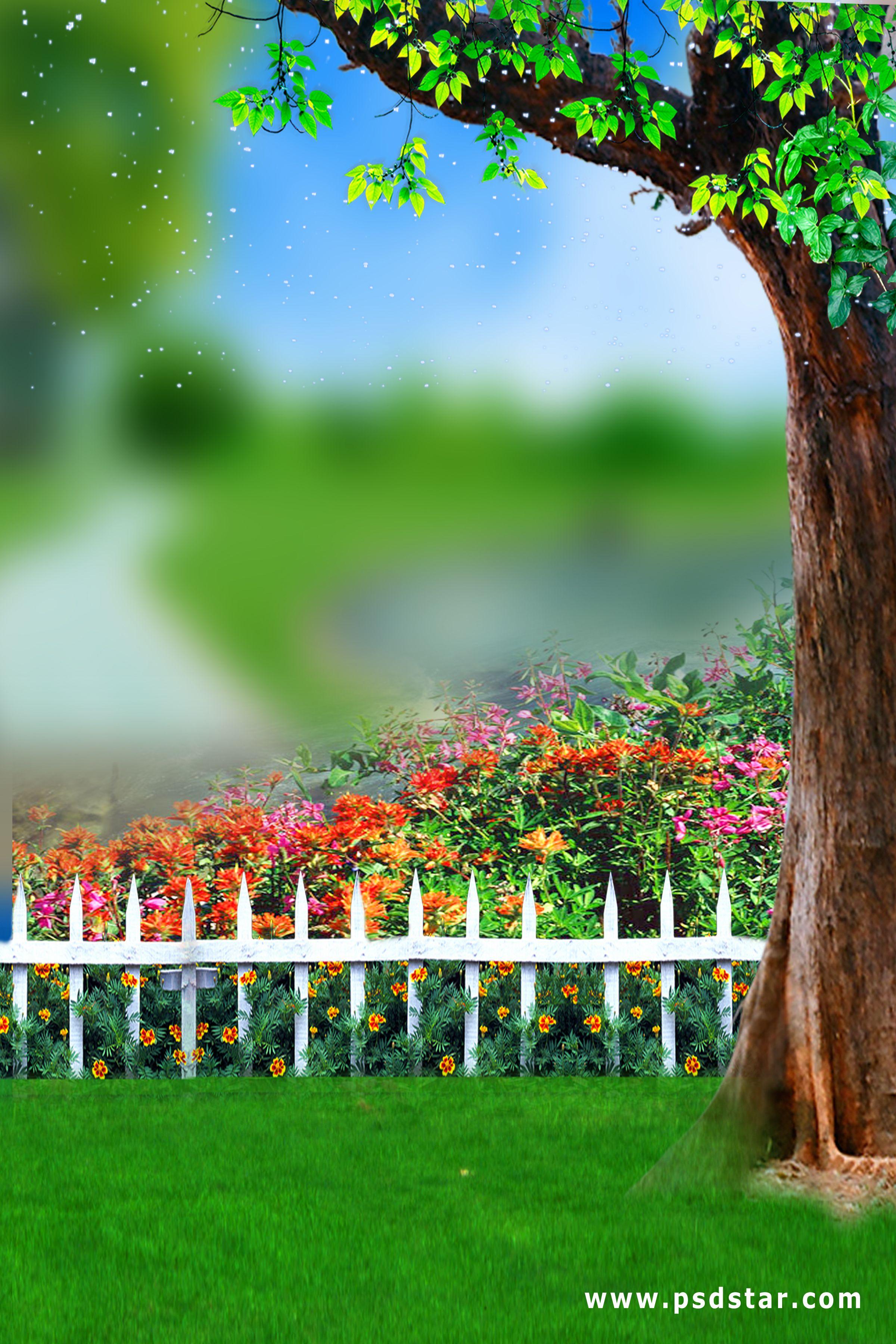 Detail Background Image Hd Nomer 54