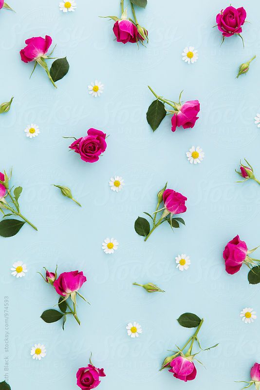 Detail Background Images Flowers Nomer 21