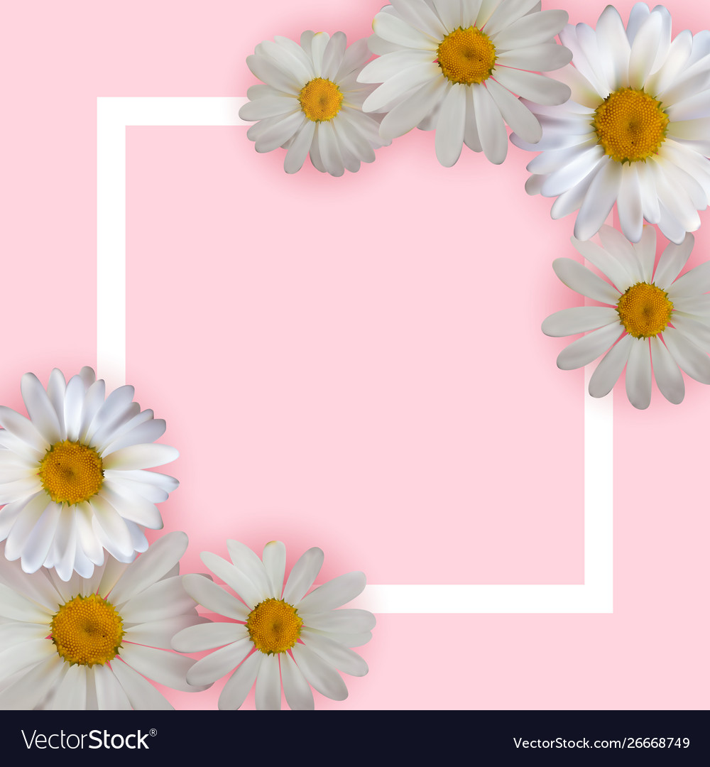 Detail Background Images Flowers Nomer 31