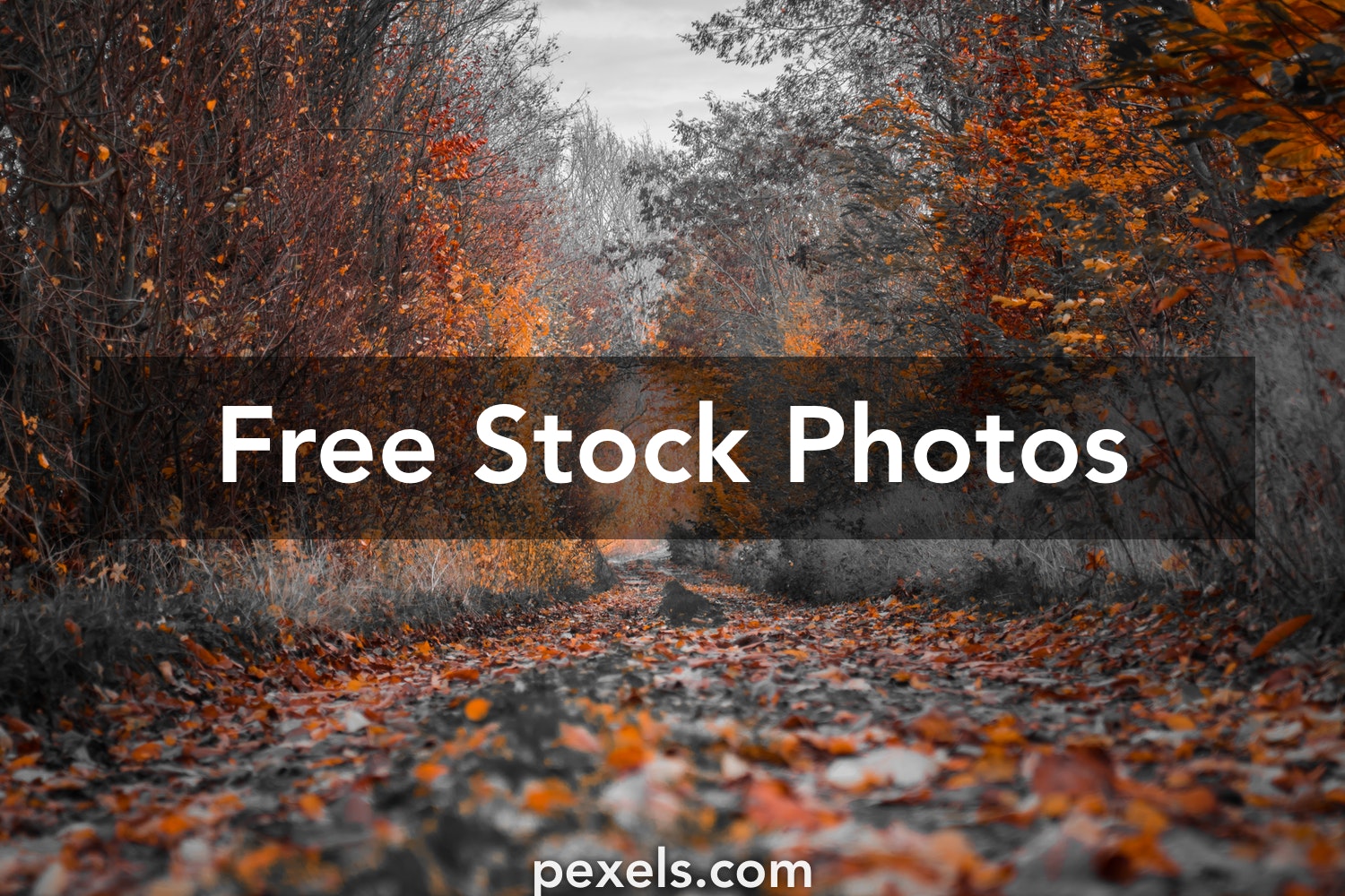 Background Images Free Download - KibrisPDR