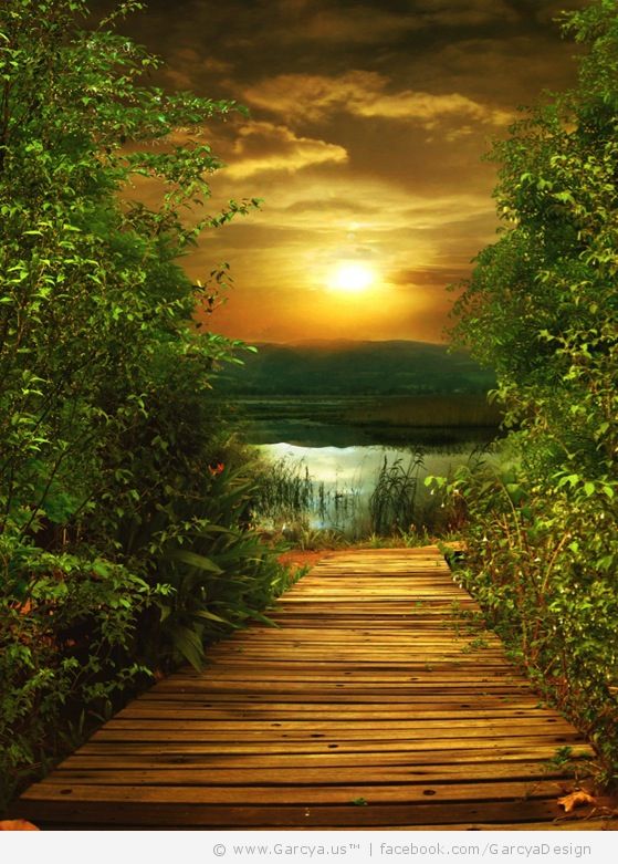 Detail Background Images Free Download Nomer 16