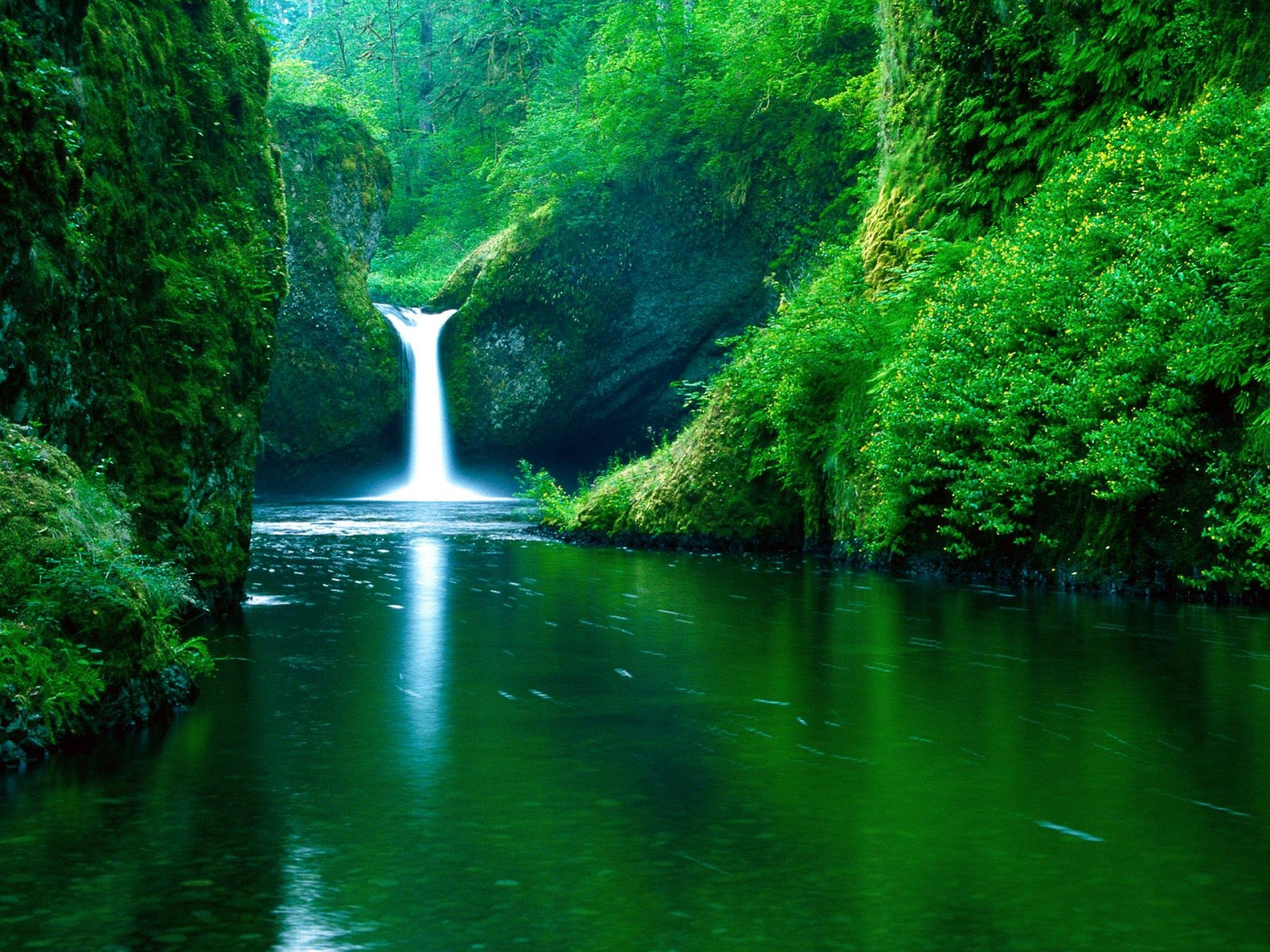 Detail Background Images Free Download Nomer 25