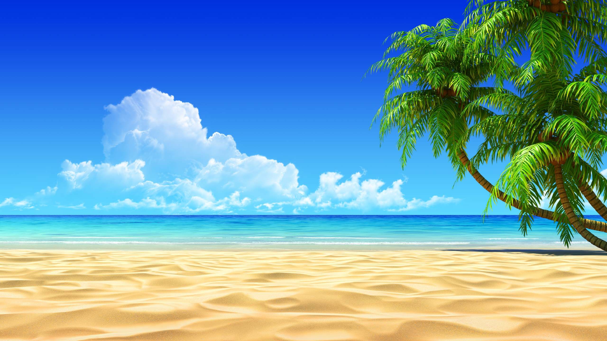 Detail Background Images Free Download Nomer 5