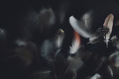 Detail Background Images Free Download Nomer 38
