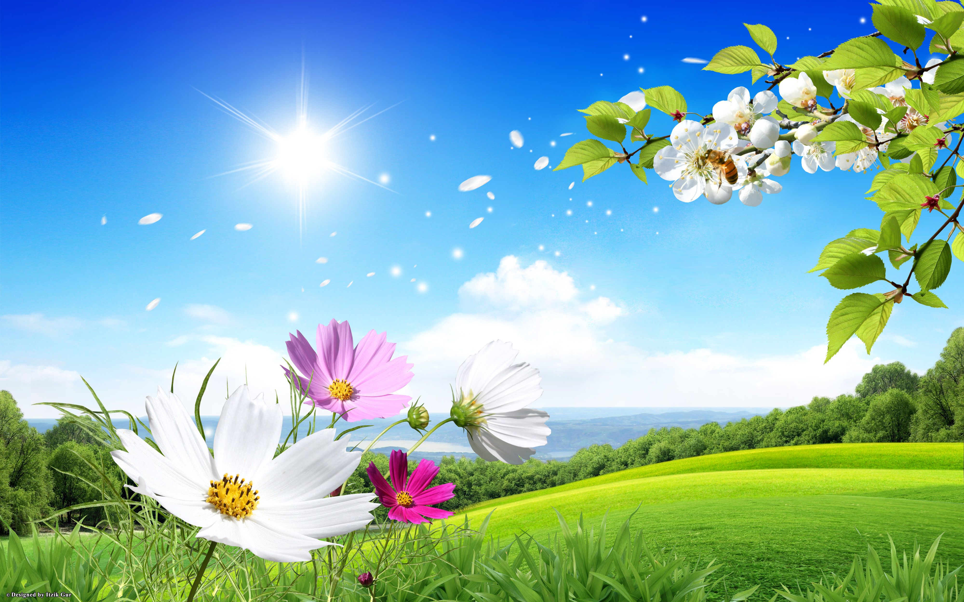 Detail Background Images Free Download Nomer 54