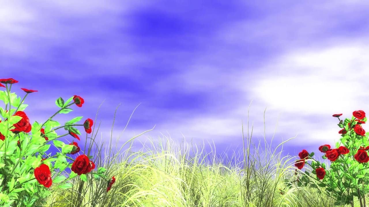 Detail Background Images Free Download Nomer 8