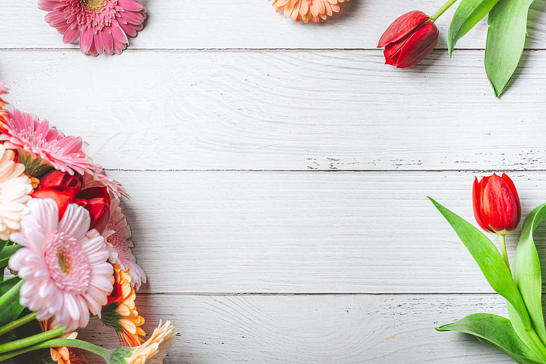Detail Background Images Free Download Nomer 10
