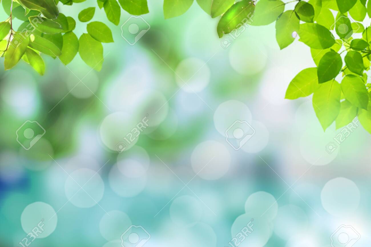 Detail Background Images Nature Nomer 35