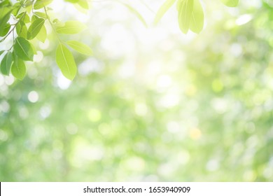 Detail Background Images Nature Nomer 46