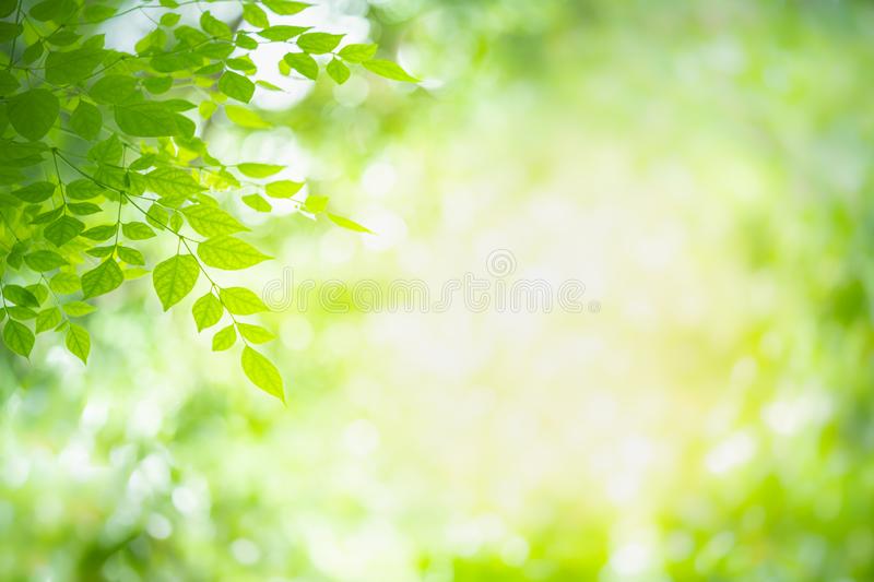 Detail Background Images Nature Nomer 51