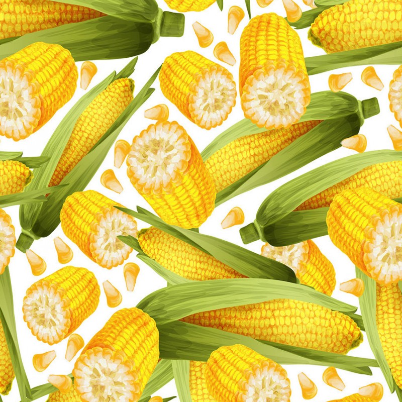 Detail Background Jagung Nomer 15