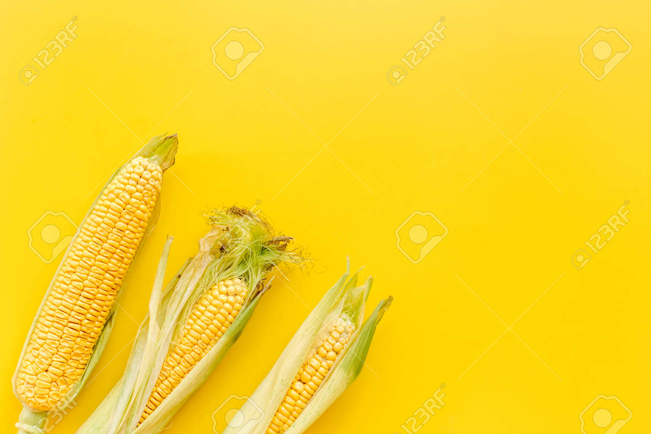 Detail Background Jagung Nomer 23