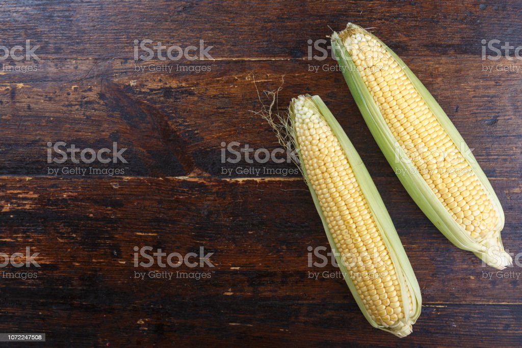 Detail Background Jagung Nomer 37