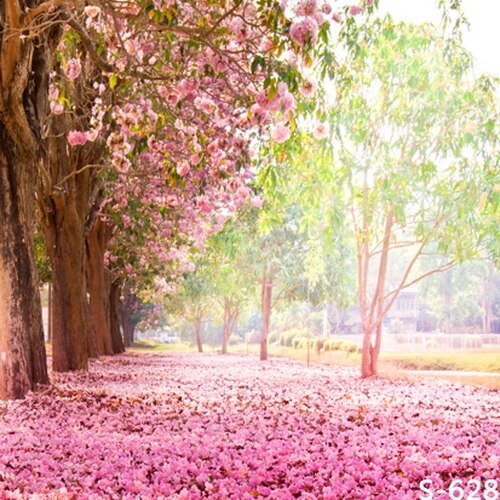 Detail Background Jalan Taman Nomer 26