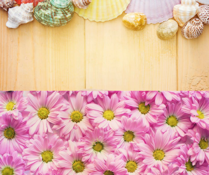 Detail Background Jualan Nomer 34