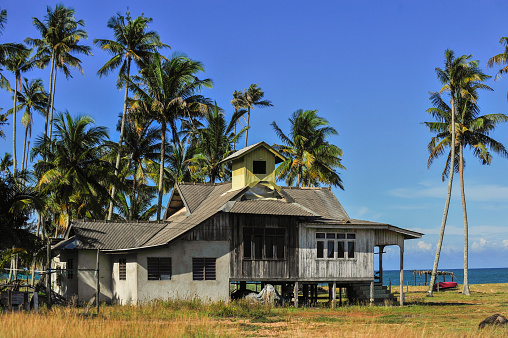 Detail Background Kampung Nomer 2