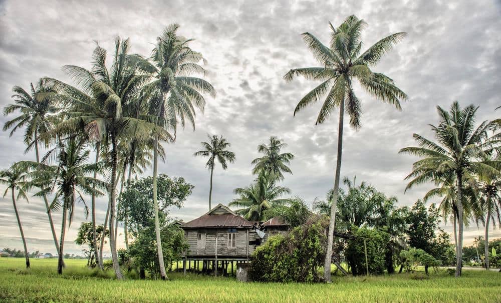 Detail Background Kampung Nomer 19