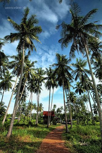 Detail Background Kampung Nomer 3