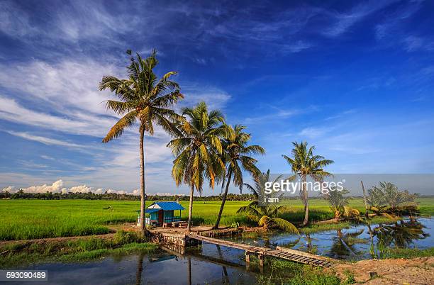 Detail Background Kampung Nomer 25