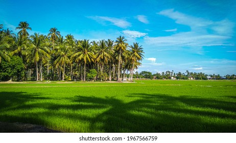 Detail Background Kampung Nomer 34