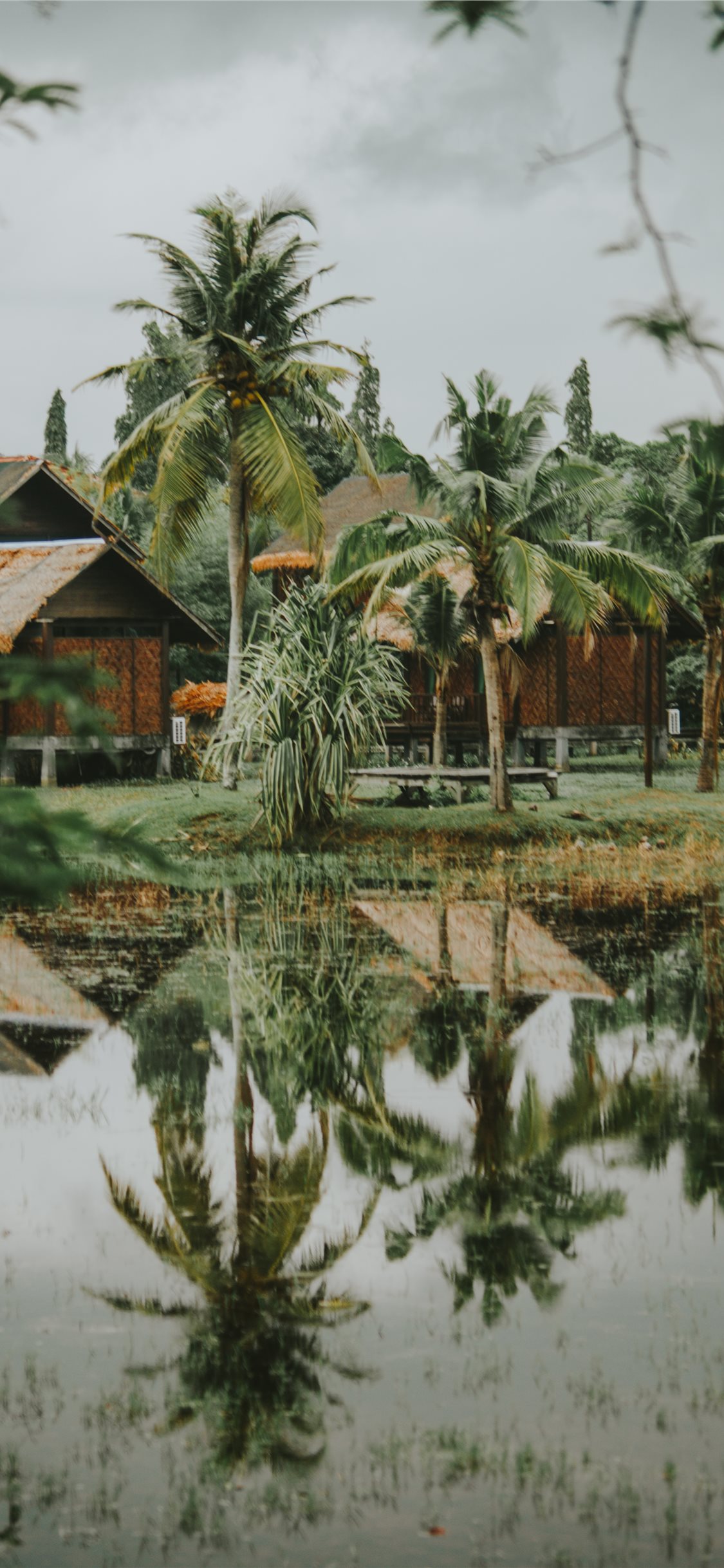 Detail Background Kampung Nomer 48