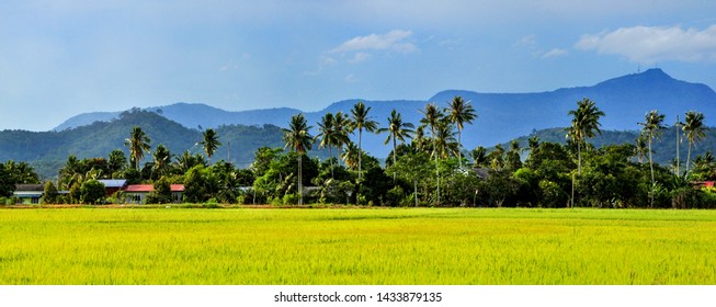 Detail Background Kampung Nomer 8