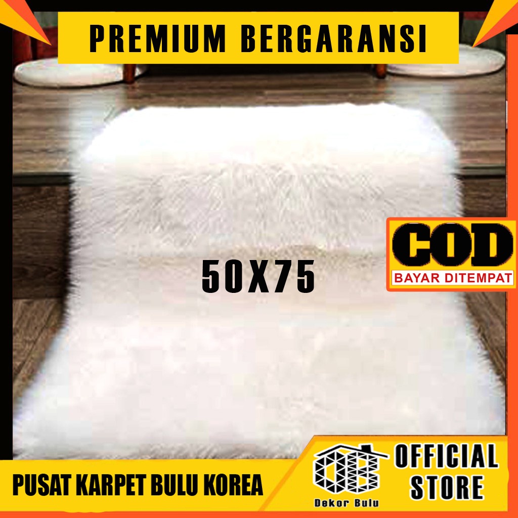 Detail Background Karpet Bulu Nomer 55