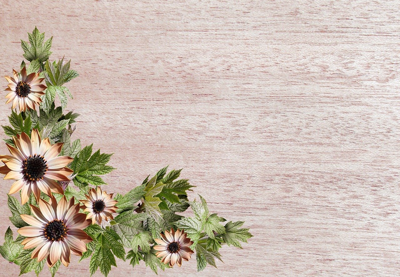 Detail Background Kartu Ucapan Aesthetic Koleksi Nomer 3