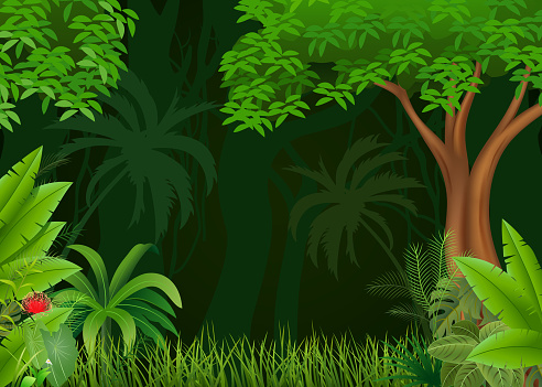 Detail Background Kartun Hutan Nomer 15