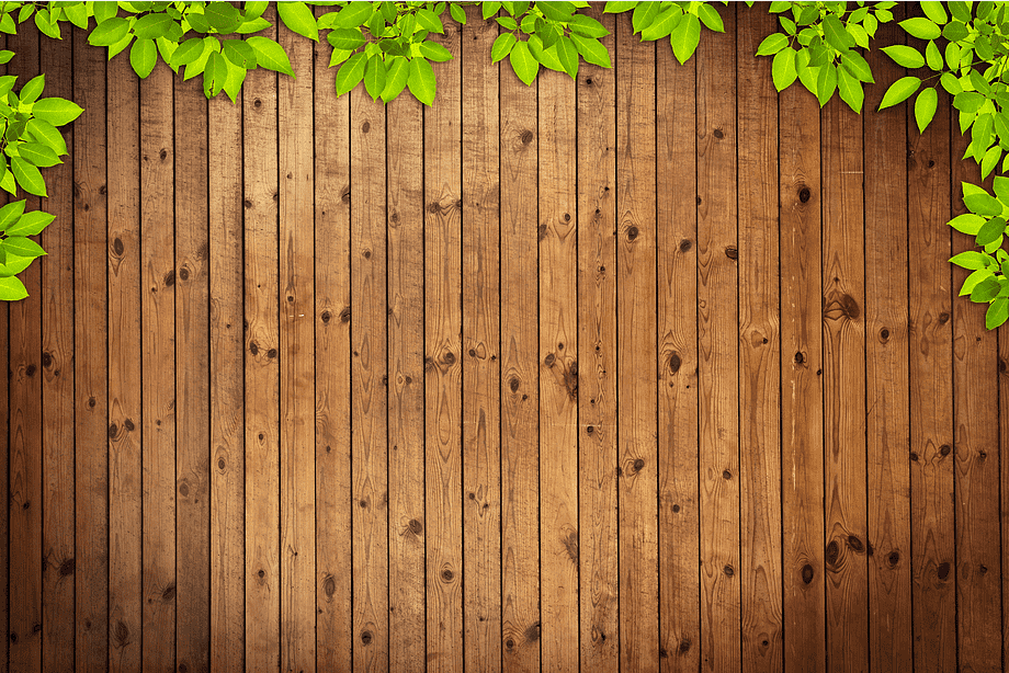 Detail Background Kayu Dan Daun Nomer 11