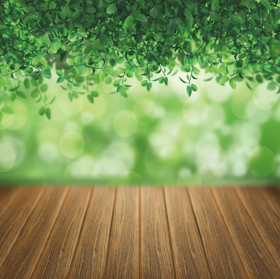 Detail Background Kayu Dan Daun Nomer 15