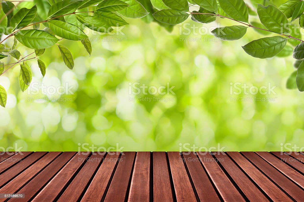 Detail Background Kayu Dan Daun Nomer 21