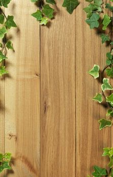 Detail Background Kayu Dan Daun Nomer 23
