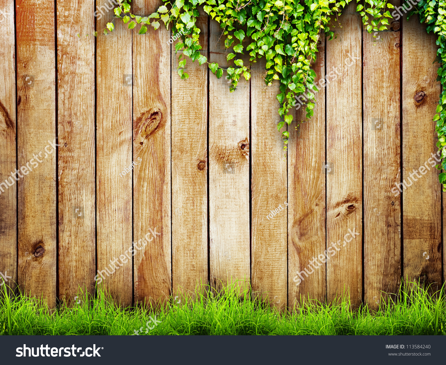 Detail Background Kayu Dan Daun Nomer 3