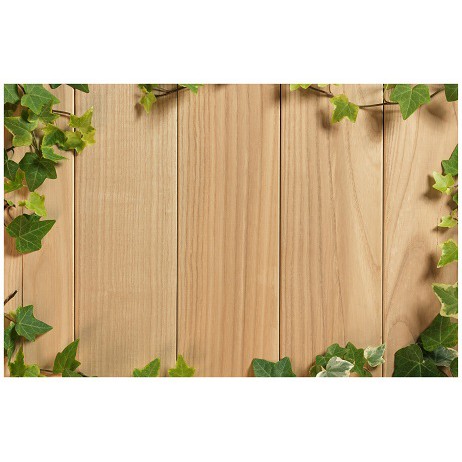 Detail Background Kayu Dan Daun Nomer 30