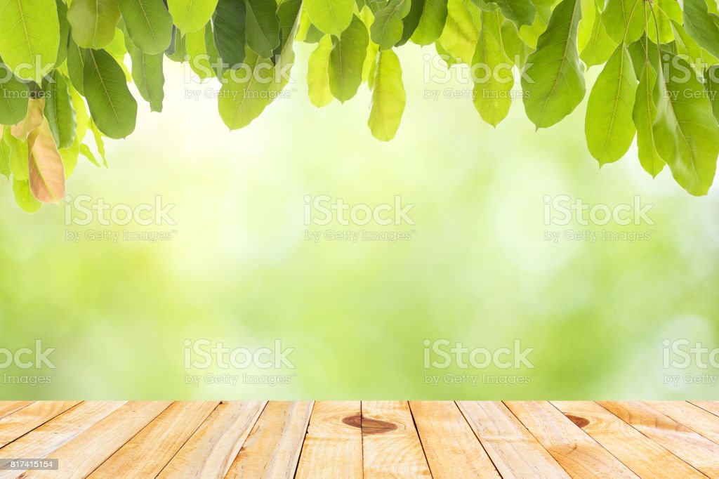 Detail Background Kayu Dan Daun Nomer 32