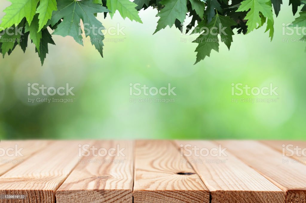 Detail Background Kayu Dan Daun Nomer 35