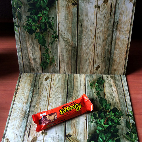 Detail Background Kayu Dan Daun Nomer 39