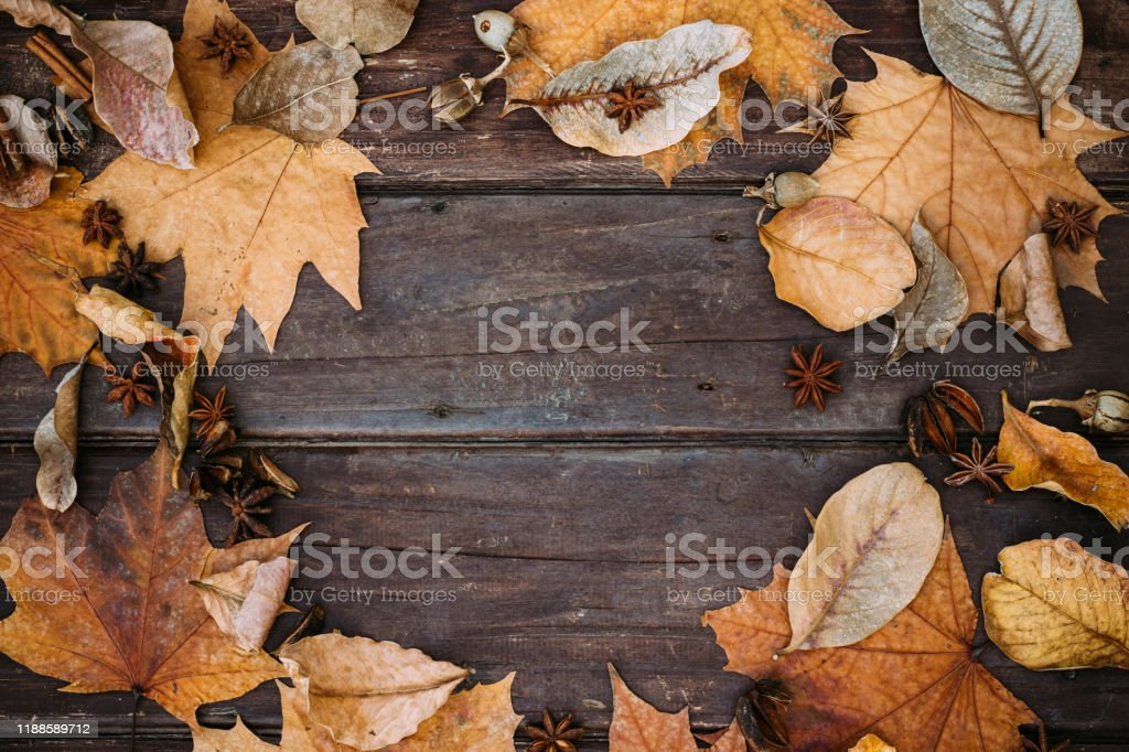 Detail Background Kayu Dan Daun Nomer 40