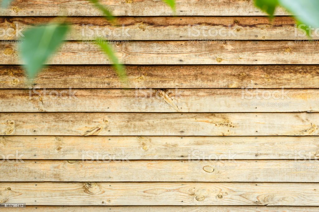Detail Background Kayu Dan Daun Nomer 41