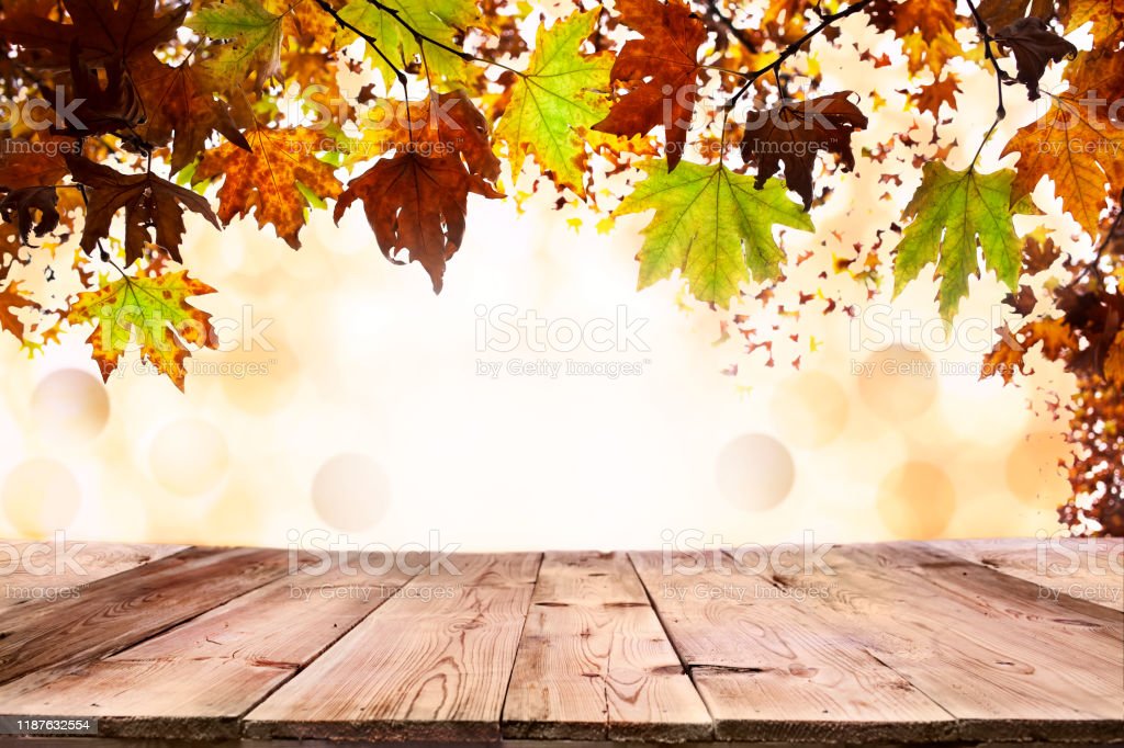 Detail Background Kayu Dan Daun Nomer 42