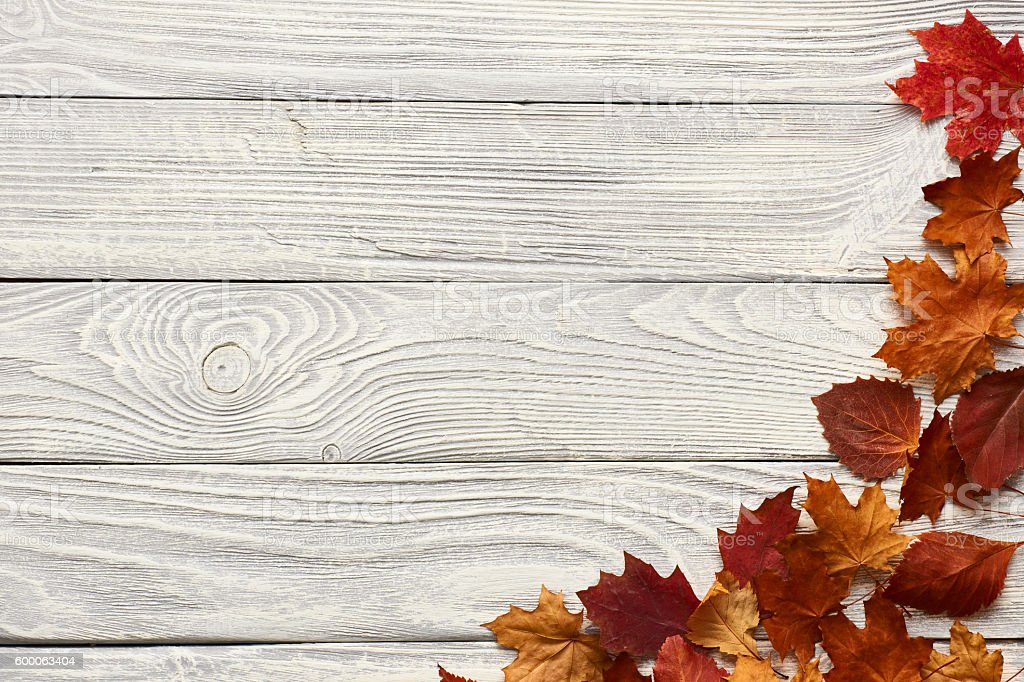 Detail Background Kayu Dan Daun Nomer 47