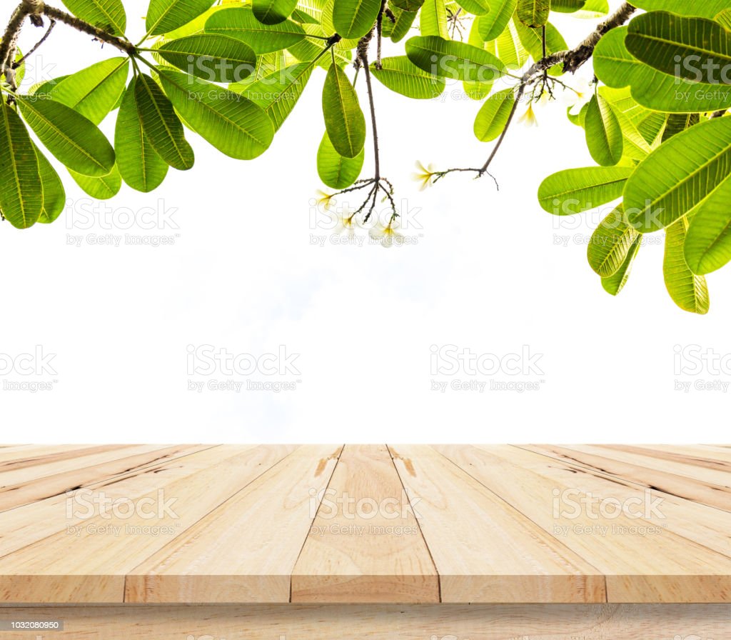 Detail Background Kayu Dan Daun Nomer 49