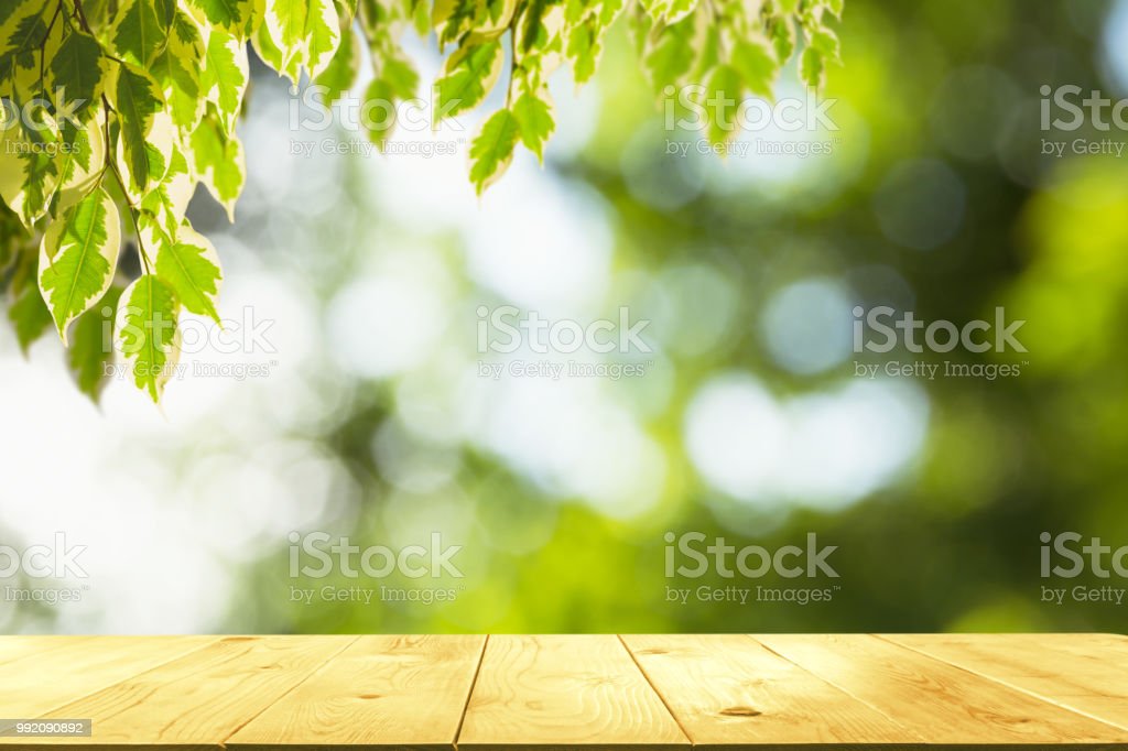 Detail Background Kayu Dan Daun Nomer 52