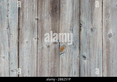 Detail Background Kayu Portrait Nomer 41