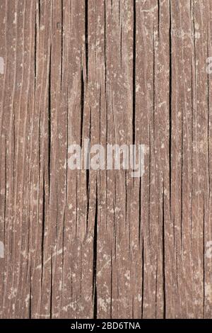 Detail Background Kayu Portrait Nomer 43