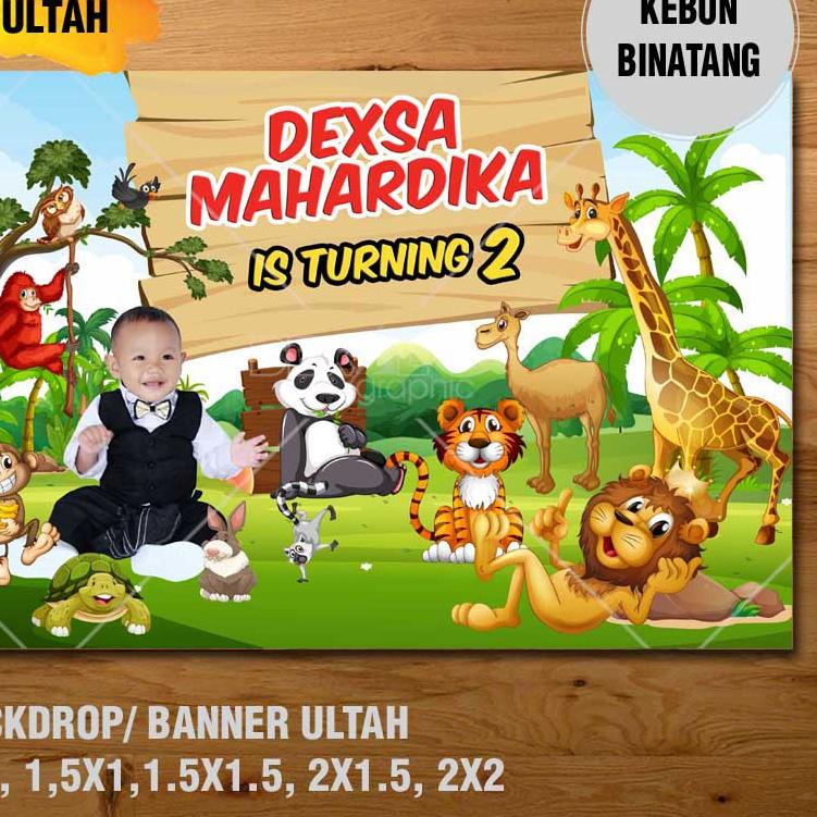 Detail Background Kebun Binatang Nomer 45