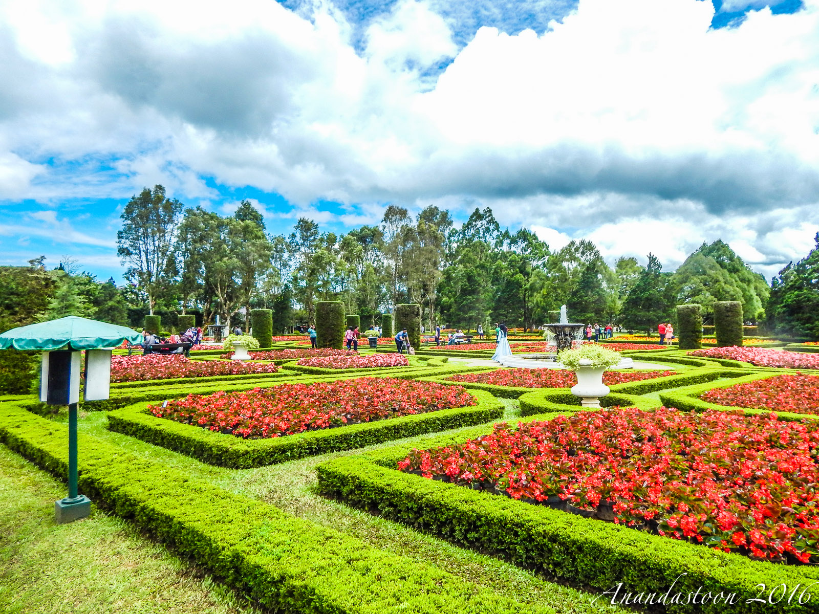 Detail Background Kebun Bunga Nomer 50