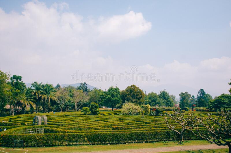 Detail Background Kebun Bunga Nomer 53